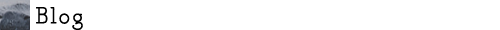 Blog