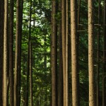 Jon Chiang Photo