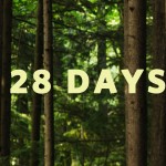Countdown – 28