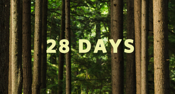 Countdown – 28