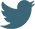 social-web-twitter